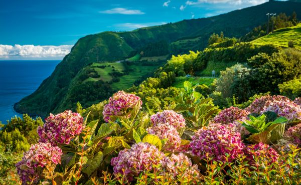 AZORES COMBINADO SAO MIGUEL Y TERCEIRA