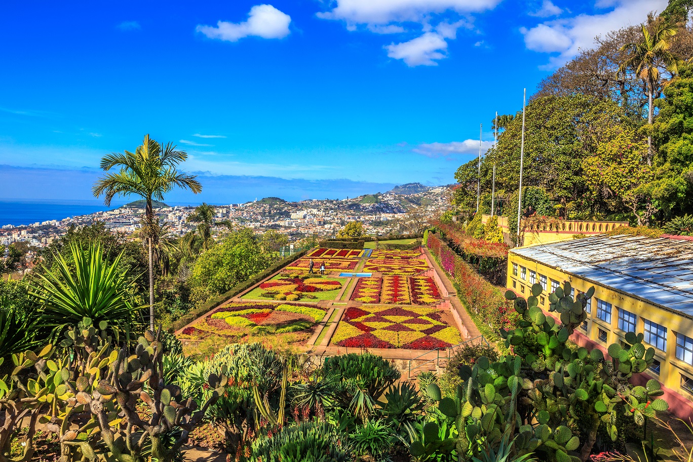 ENCANTOS DE MADEIRA CON PORTO SANTO